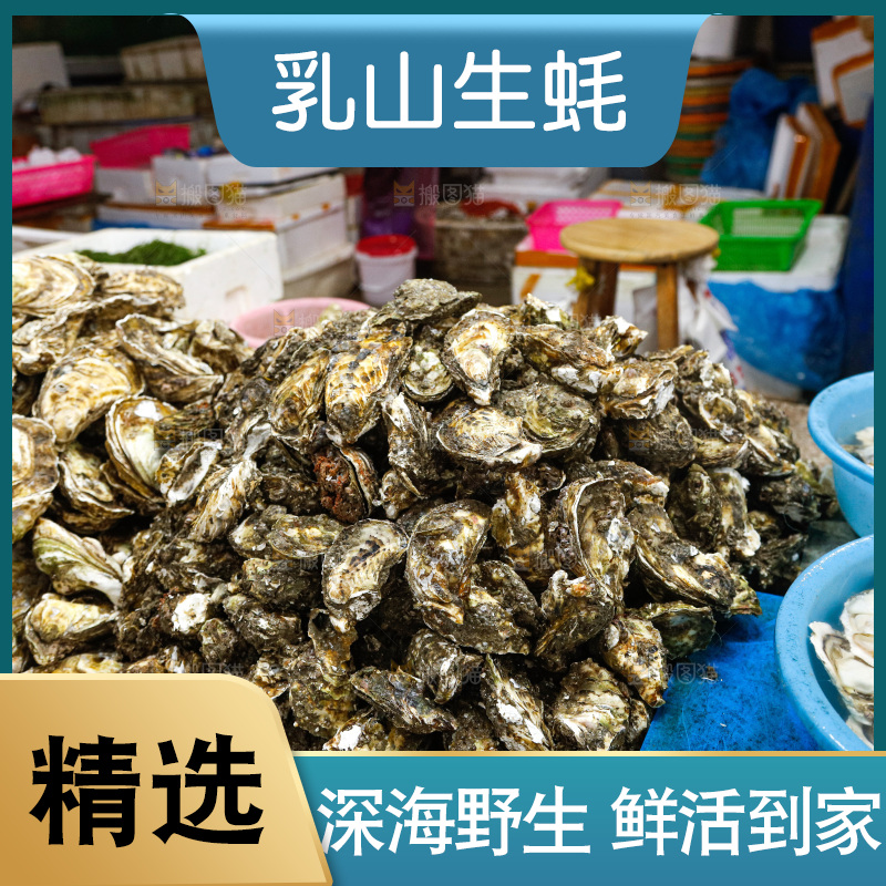 海鲜市场鲜活生蚝