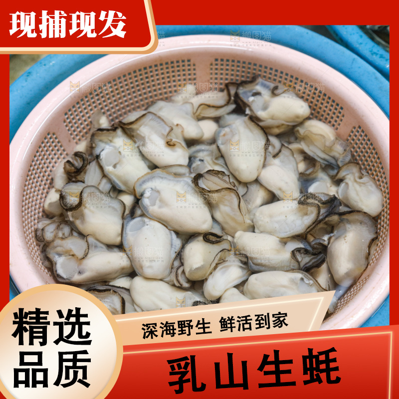 海鲜市场鲜活生蚝