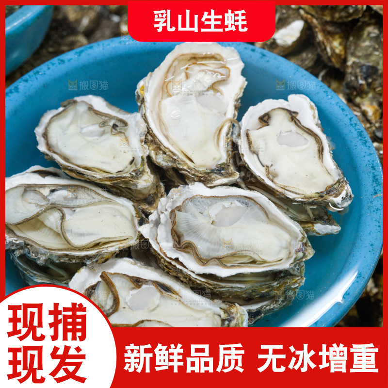海鲜市场鲜活生蚝
