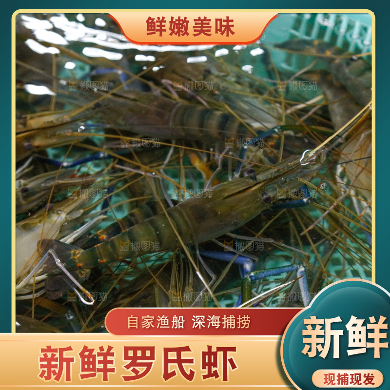 海鲜市场罗氏虾