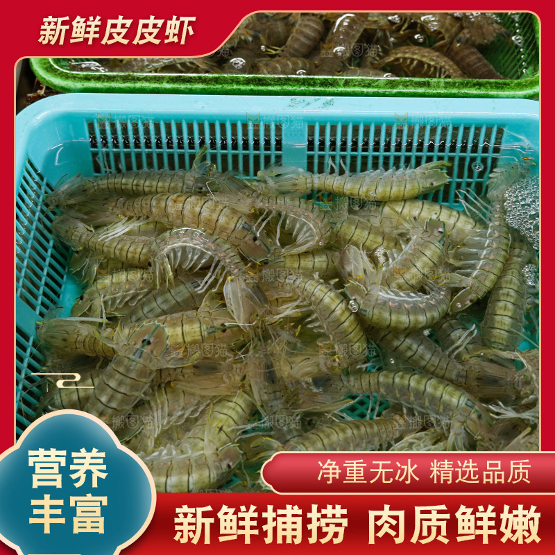 皮皮虾水产