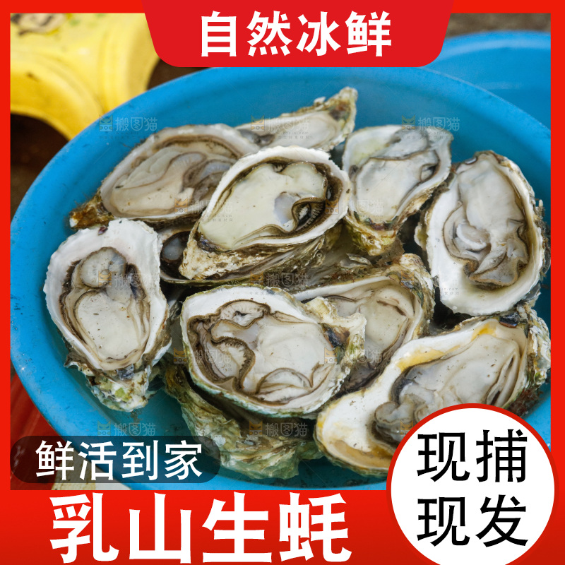 海鲜市场鲜活生蚝