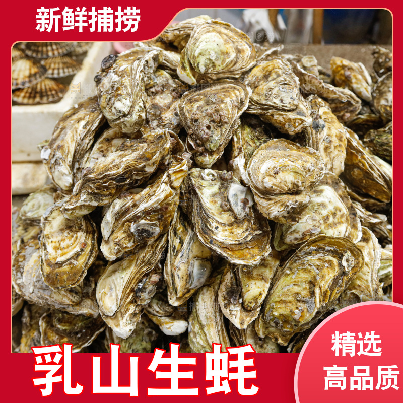 海鲜市场鲜活生蚝