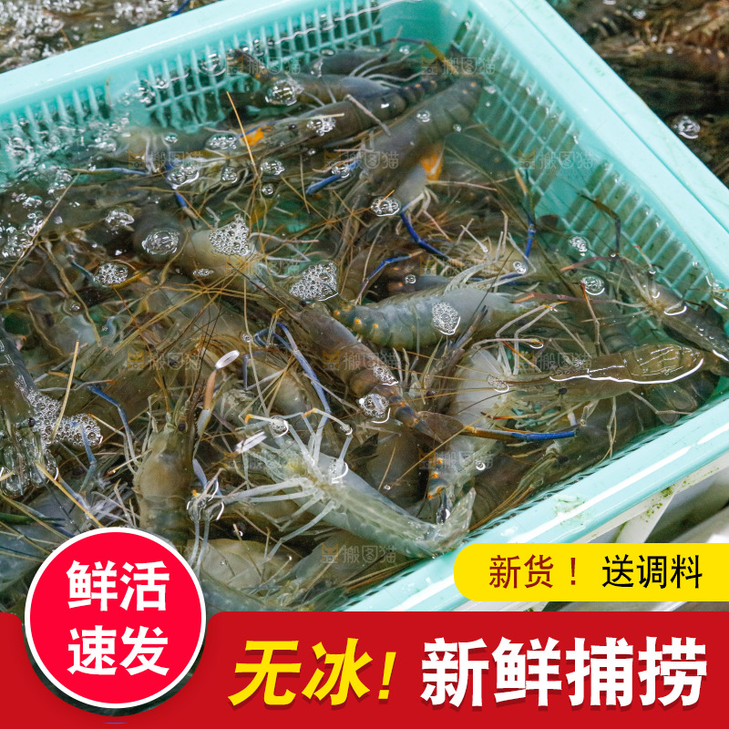 海鲜市场罗氏虾