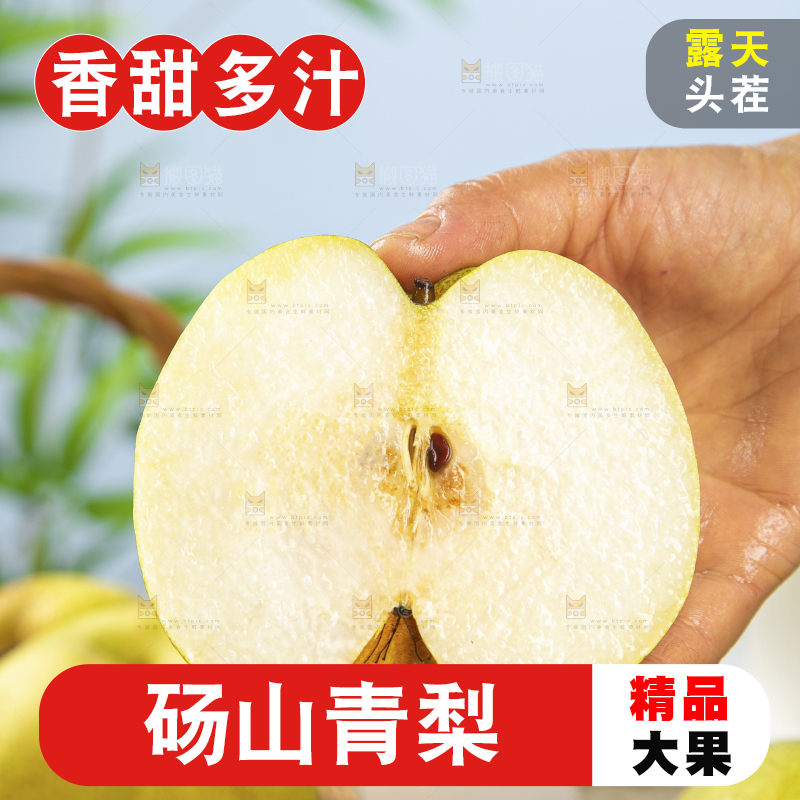 浅底上的砀山梨