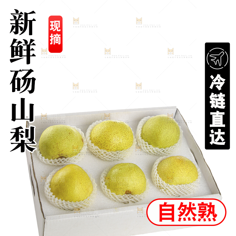 白底上的砀山酥梨
