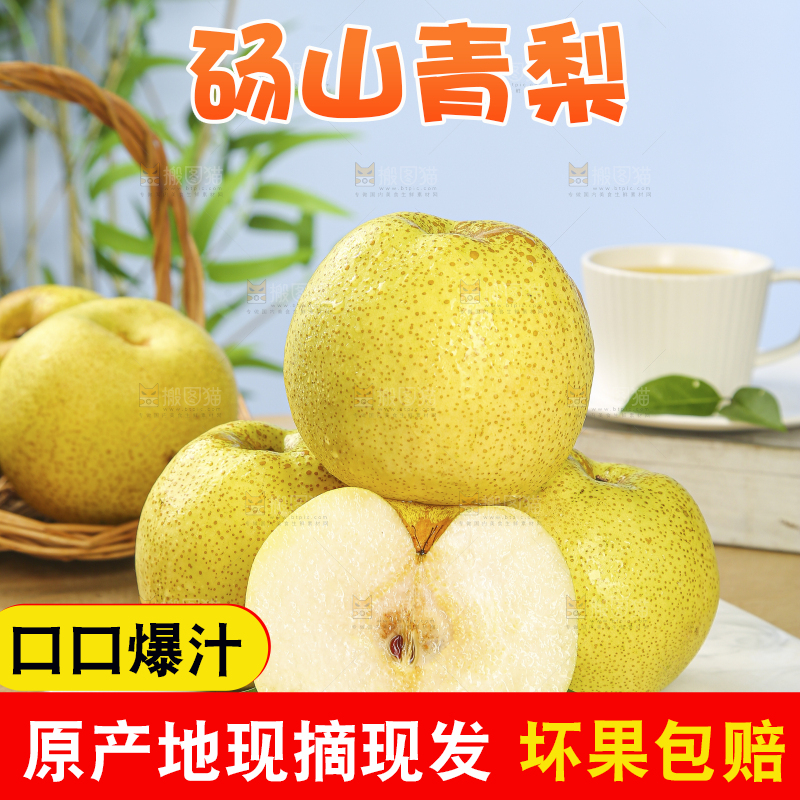 浅底上的砀山梨