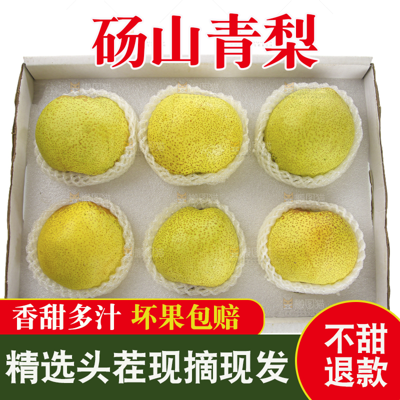 白底上的砀山酥梨