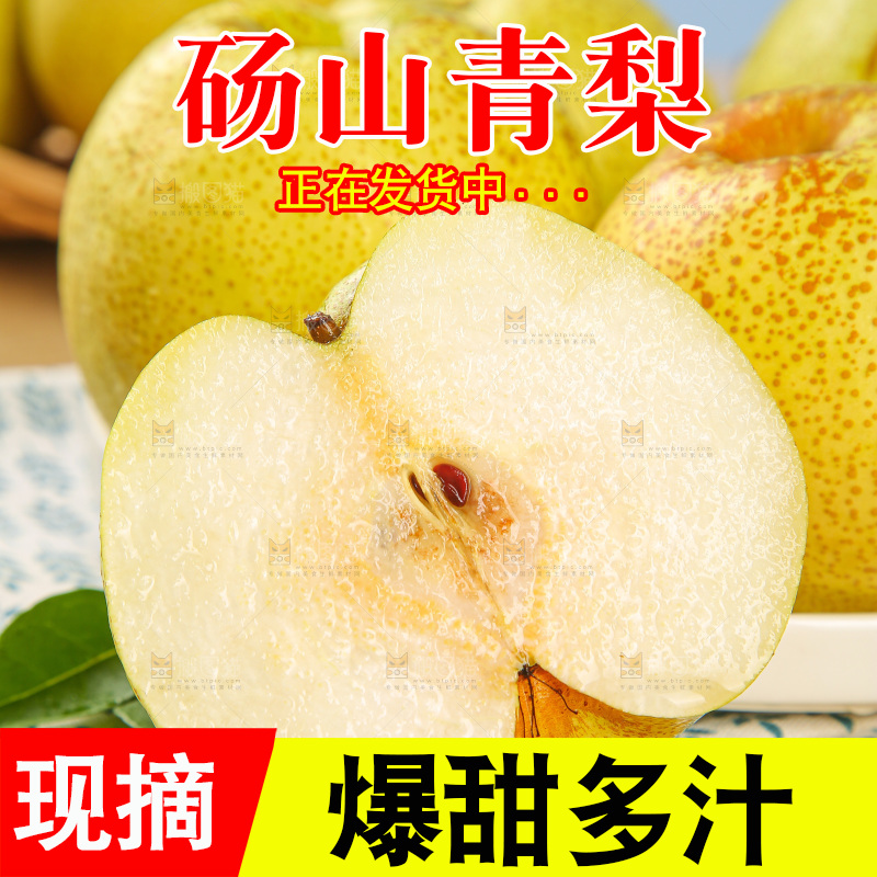 浅底上的砀山梨