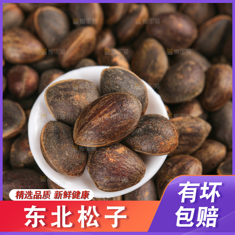 浅底上的新鲜松子