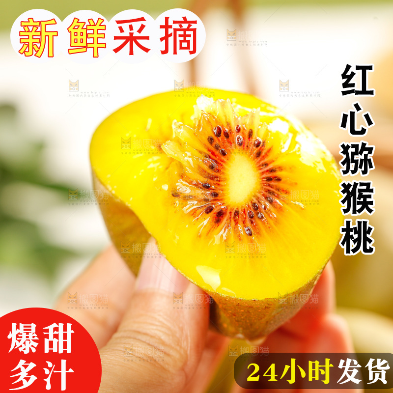 浅底上的红心猕猴桃