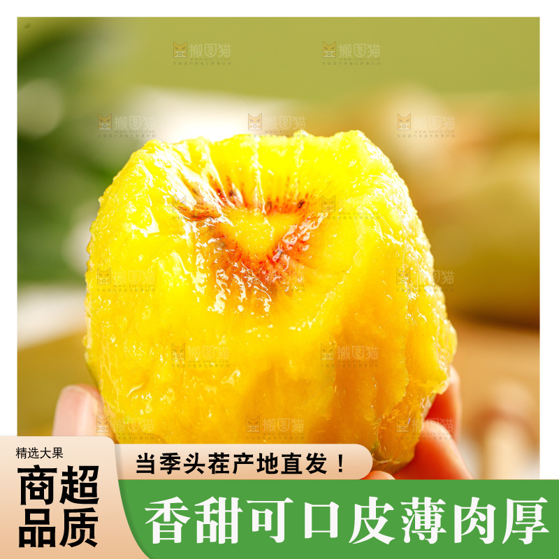 浅底上的红心猕猴桃