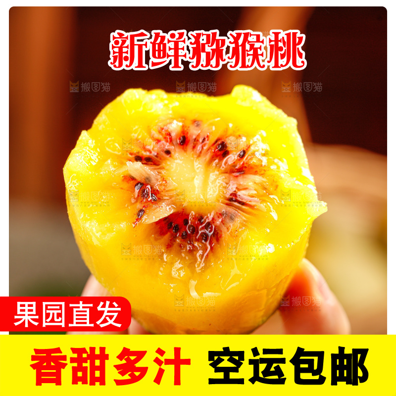 深底上的红心猕猴桃
