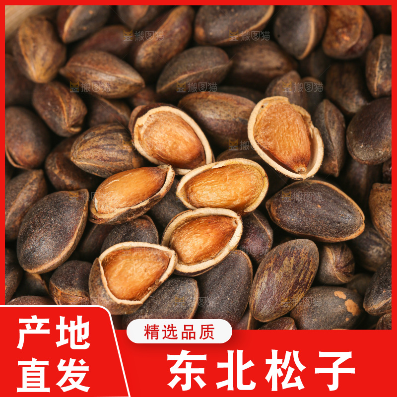 浅底上的新鲜松子