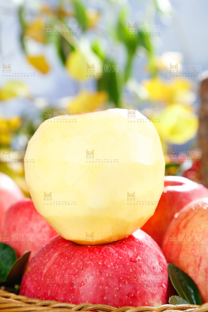 浅底上的红富士苹果