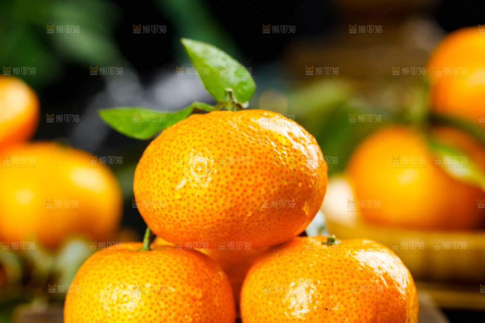 深底上的沙糖橘