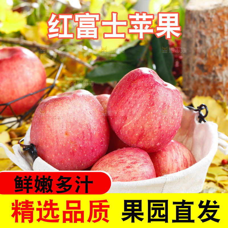 浅底上的红富士苹果
