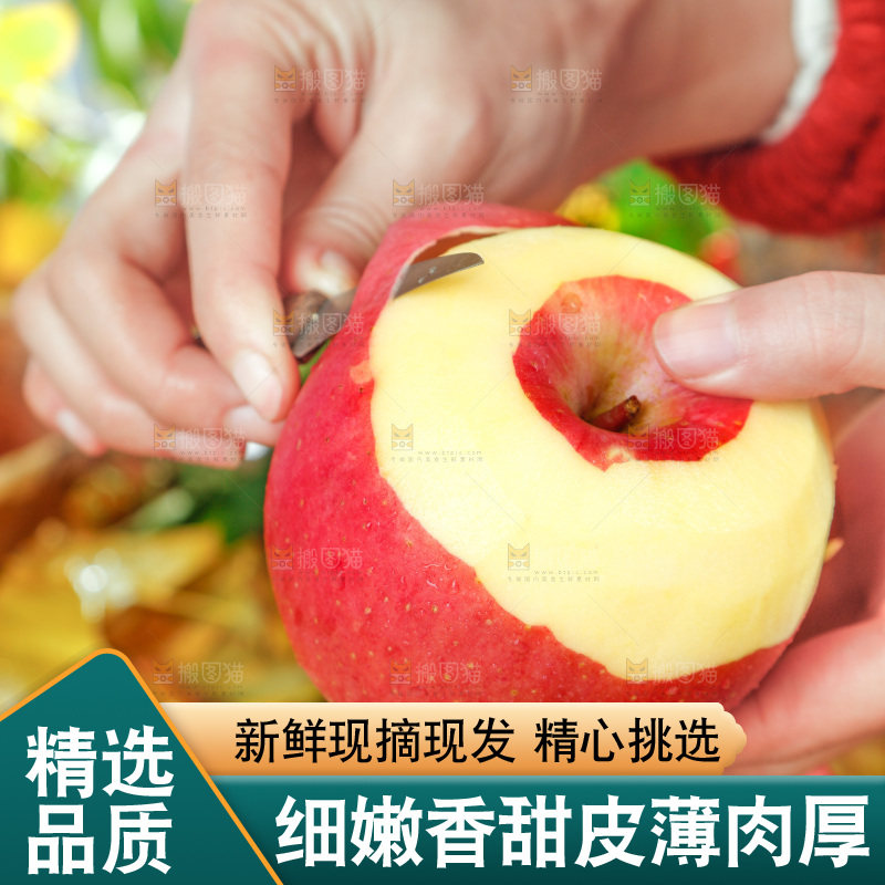 浅底上的红富士苹果
