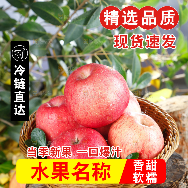 浅底上的红富士苹果