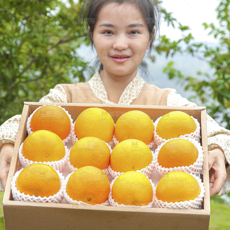 手里拿着爱媛果冻橙