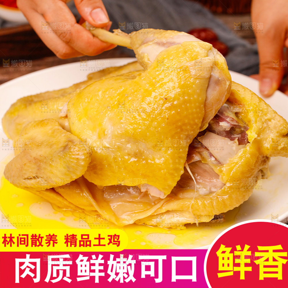 老母鸡主图