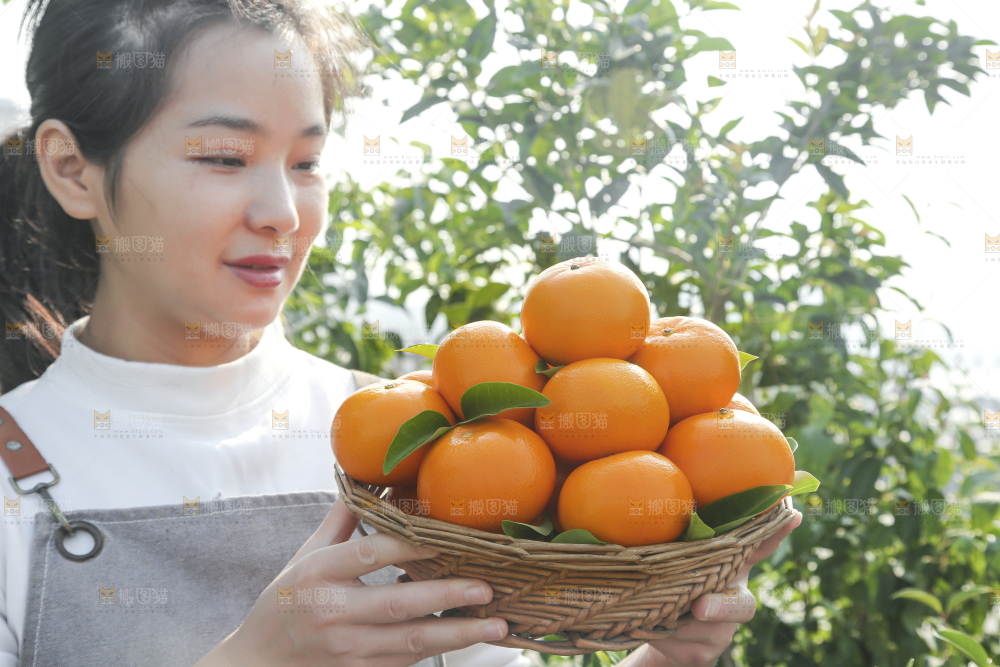 手里拿着沃柑