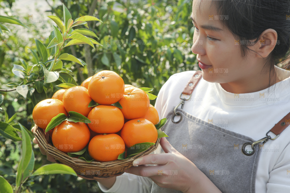 手里拿着沃柑