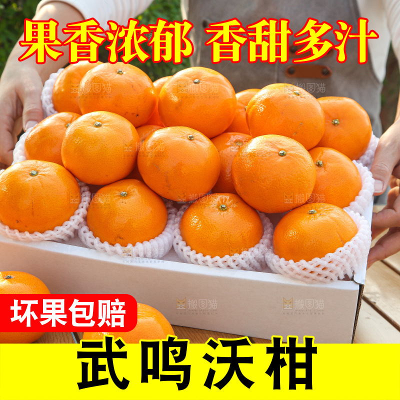 礼盒里装着的沃柑