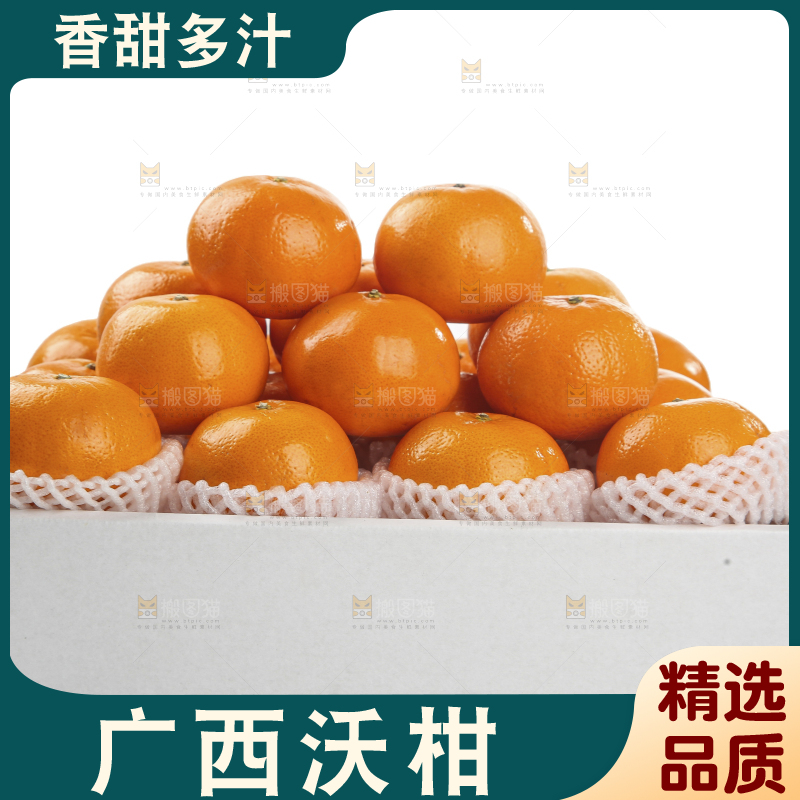 白底上的沃柑
