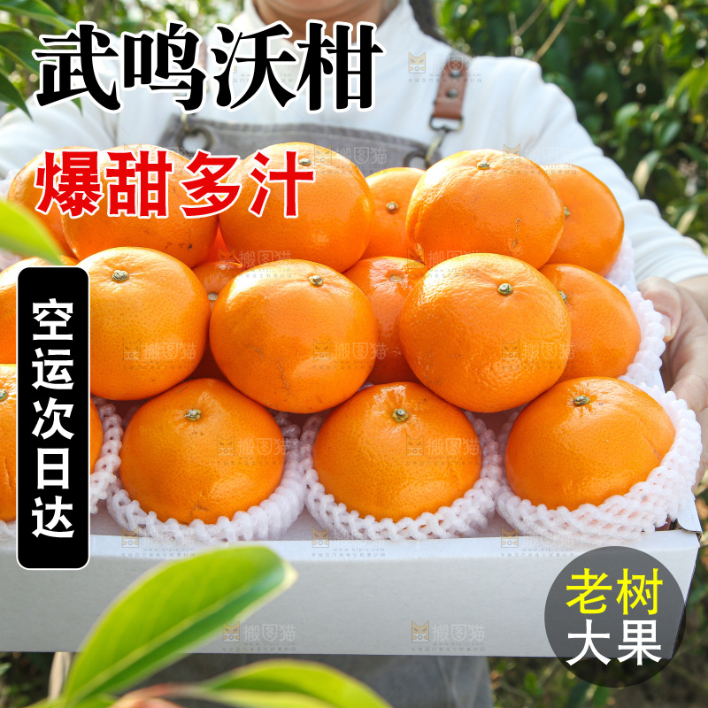 礼盒里装着的沃柑