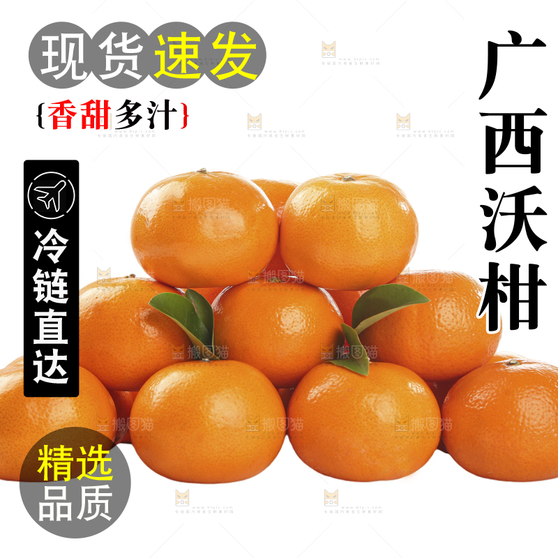 白底上的沃柑
