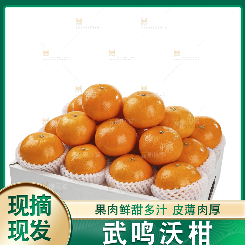 白底上的沃柑