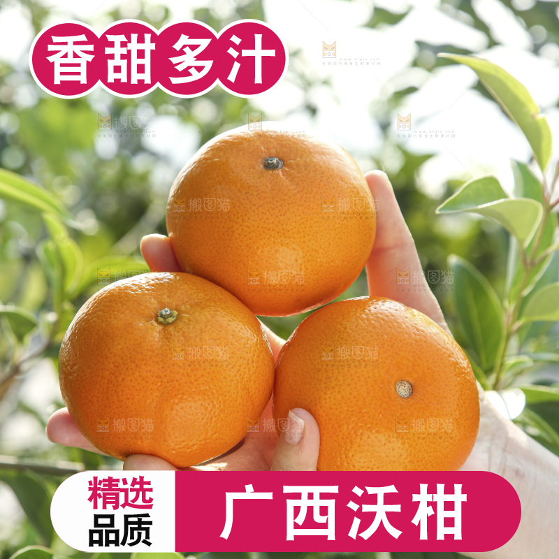 手里拿着沃柑