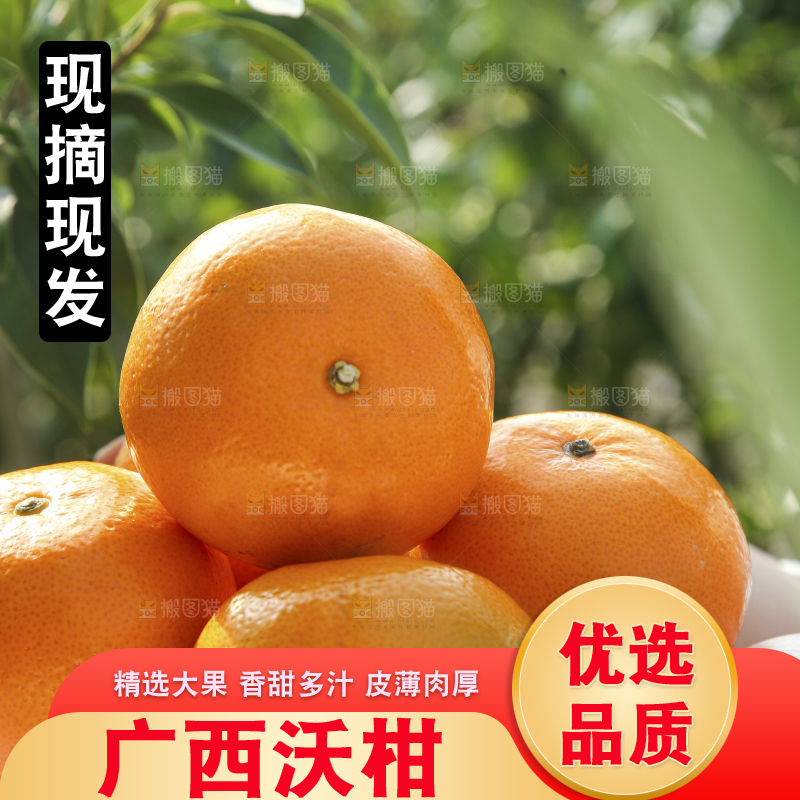 手里拿着沃柑