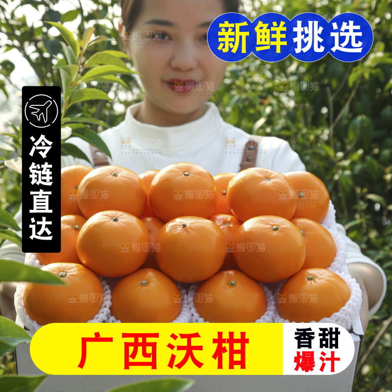 礼盒里装着的沃柑