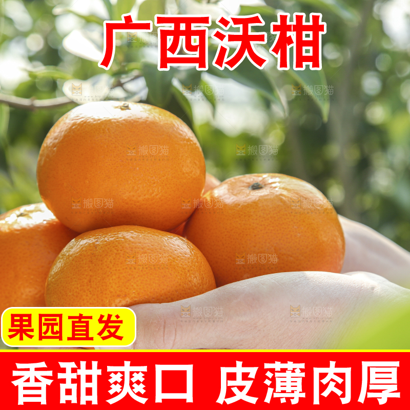 手里拿着沃柑