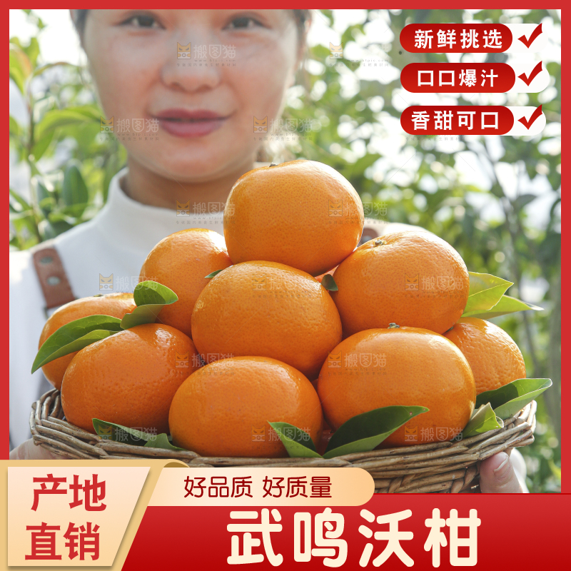 手里拿着沃柑