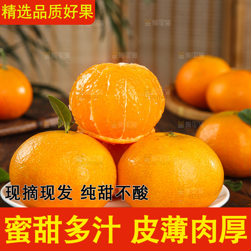深底上的爱媛果冻橙