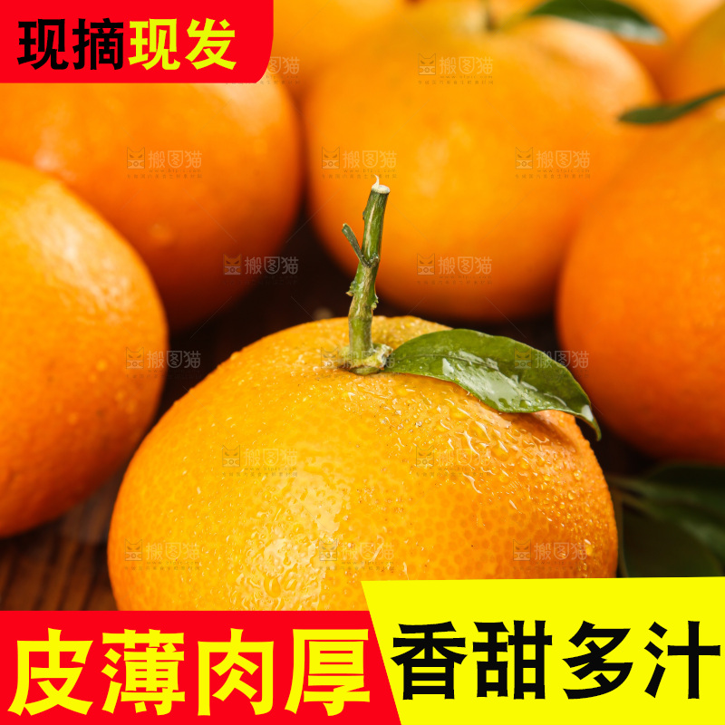 深底上的爱媛果冻橙