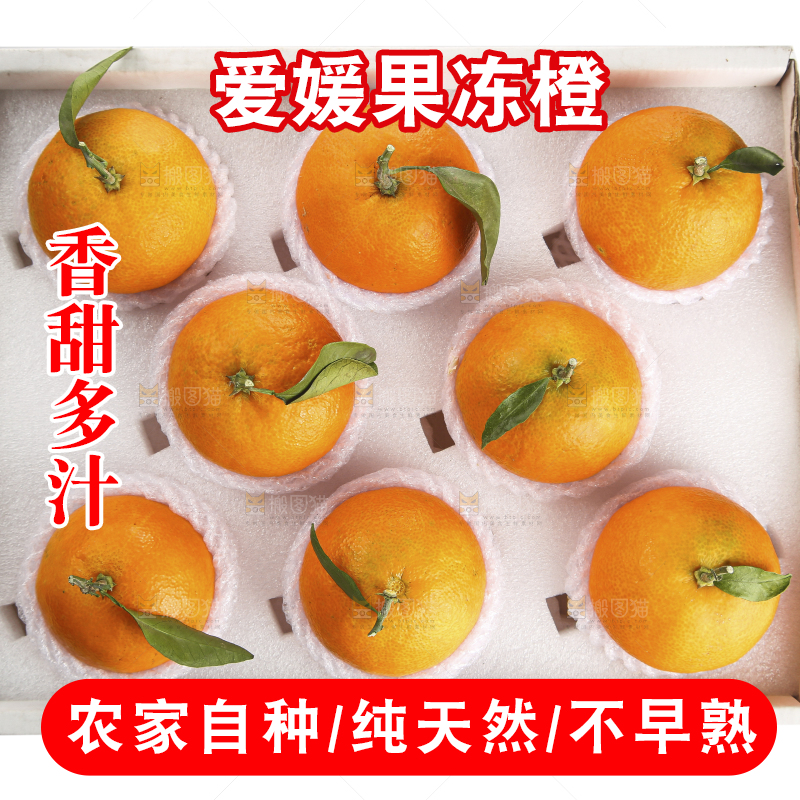白底上的爱媛果冻橙