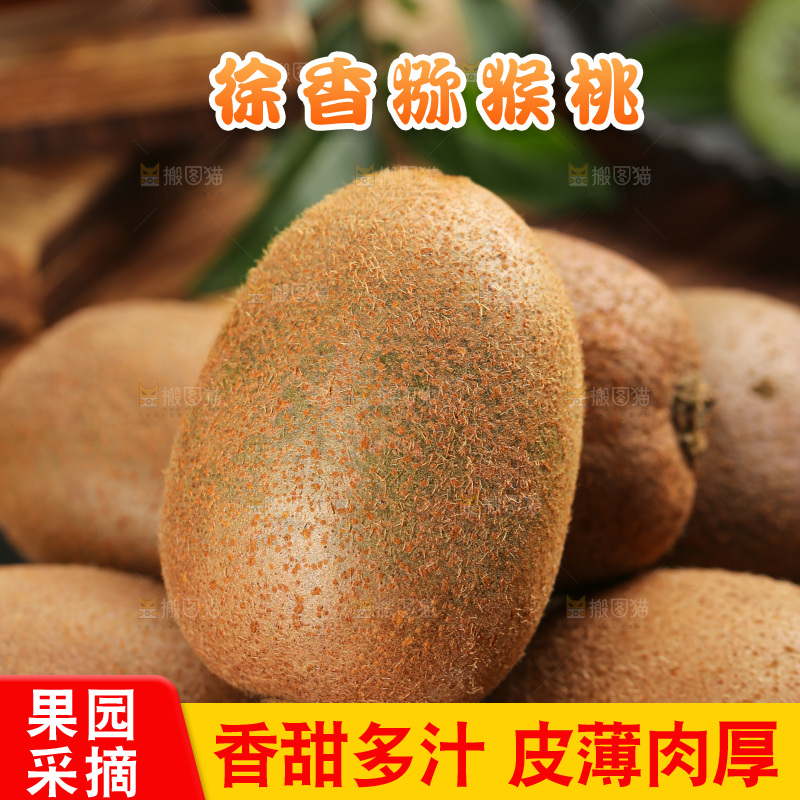 深底上的徐香猕猴桃