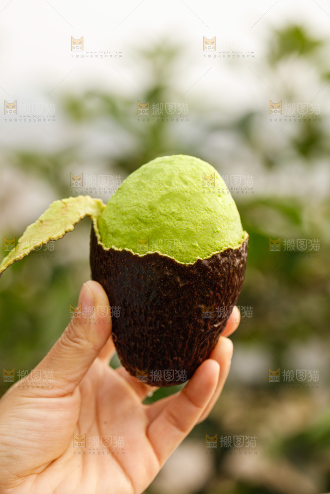 手里拿着巨无霸牛油果