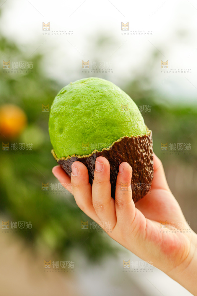 手里拿着巨无霸牛油果