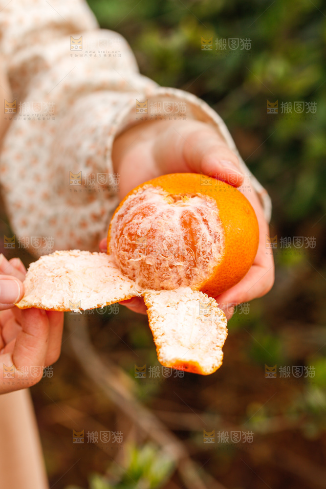 手里拿着涌泉蜜桔