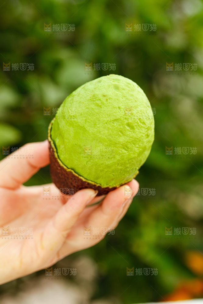 手里拿着巨无霸牛油果
