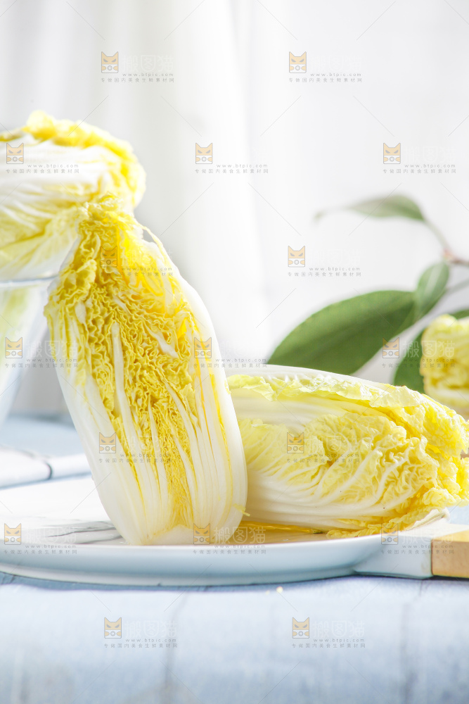 浅底上的娃娃菜