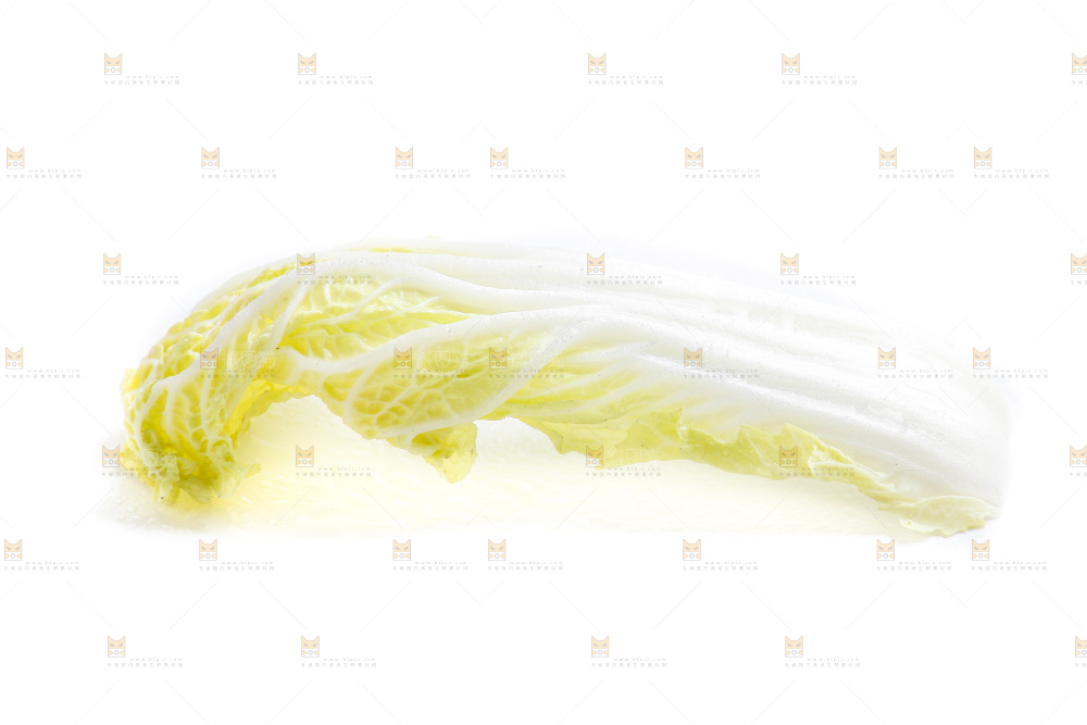 白底上的娃娃菜