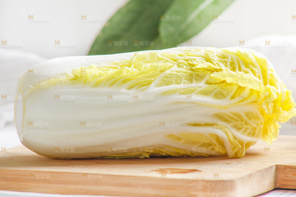 浅底上的娃娃菜