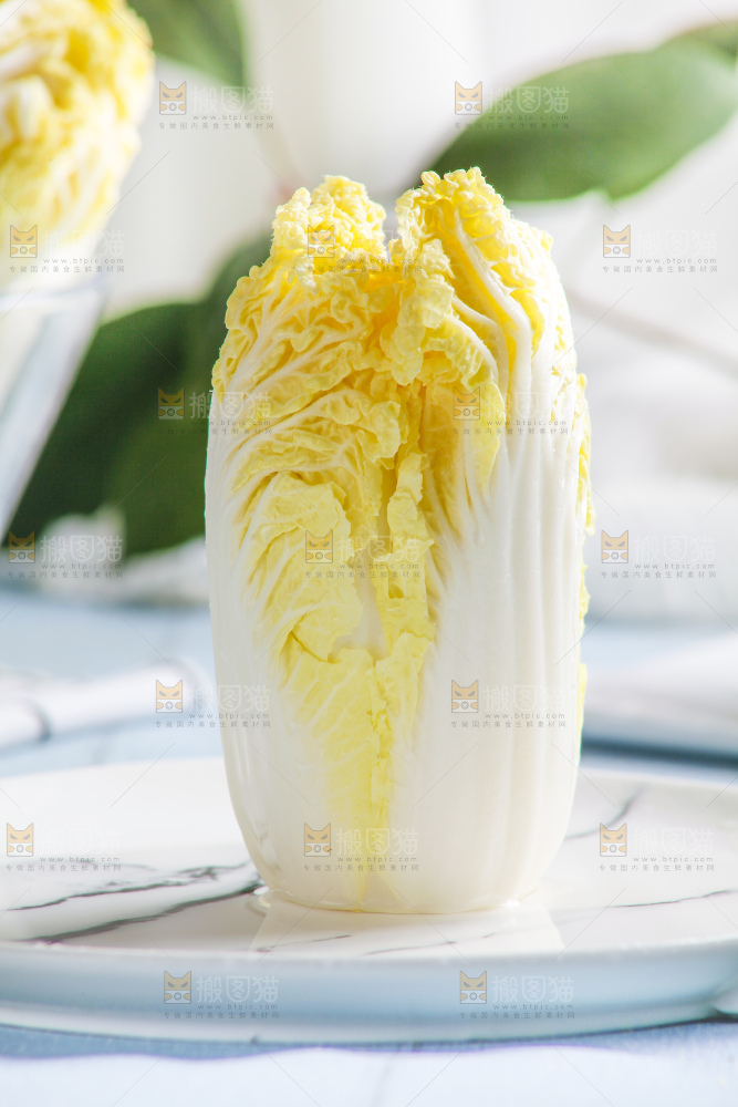 浅底上的娃娃菜