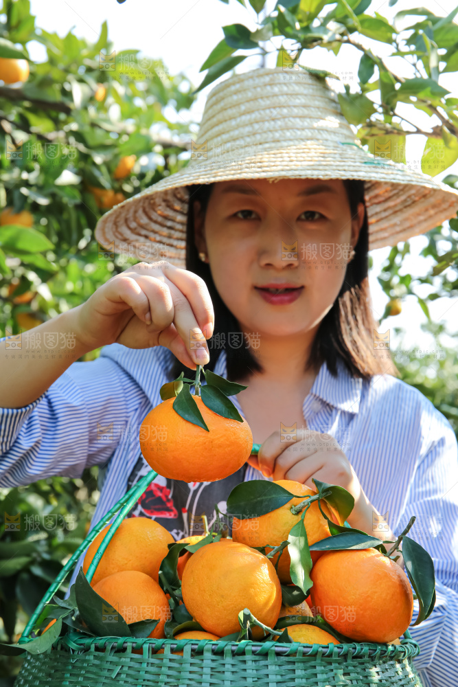 手里拿着爱媛果冻橙